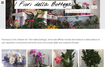 webmaster ecommerce