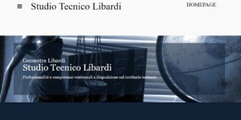 web master torino