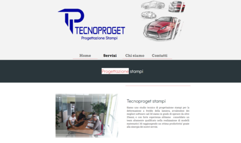webmaster torino
